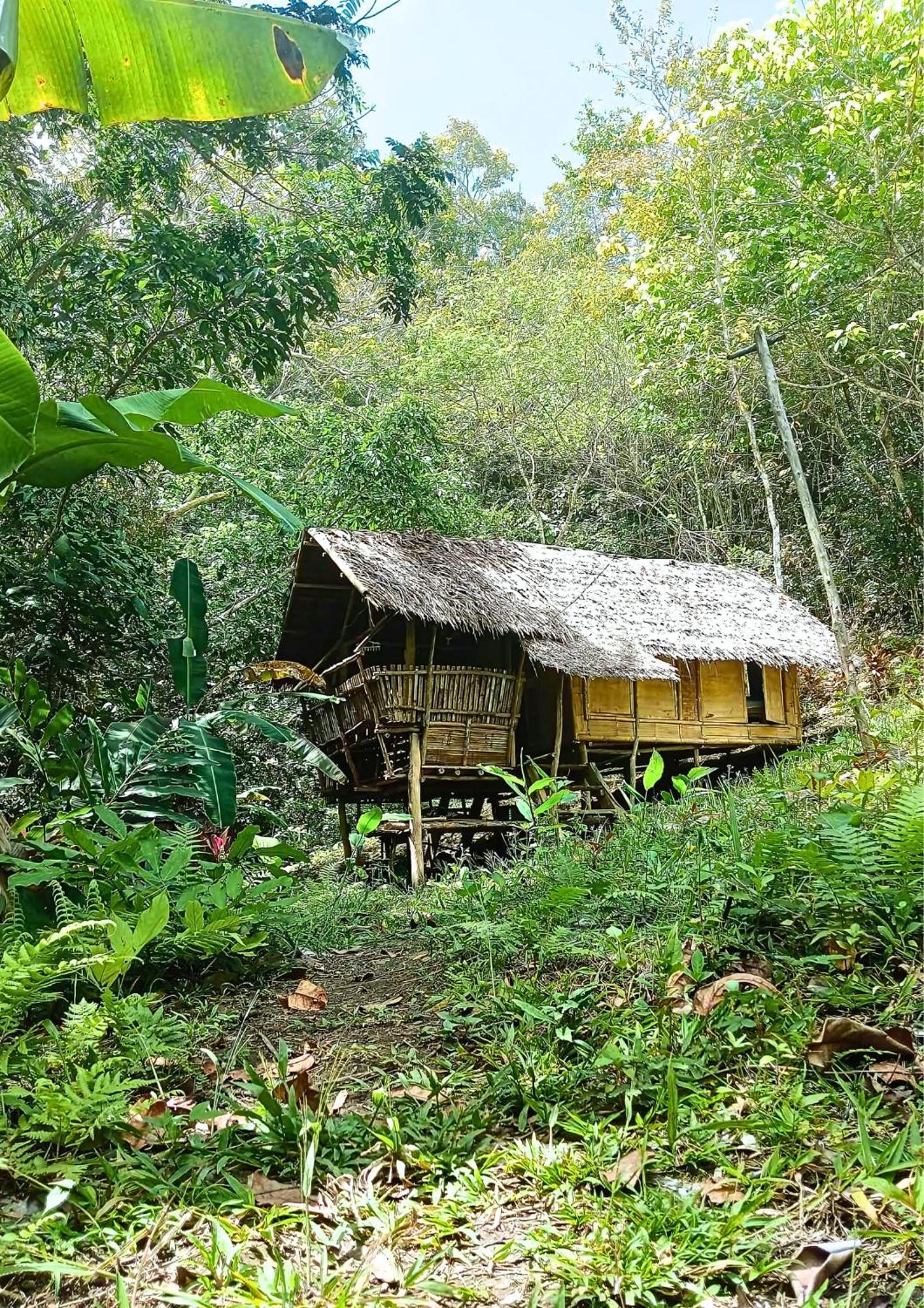 Canjahawon Nipa Hut Homestay 锡基霍尔 外观 照片